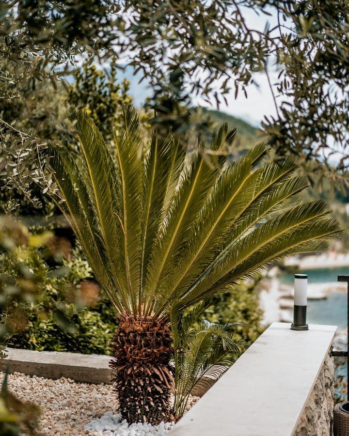 Villa Amore Brela 3*
