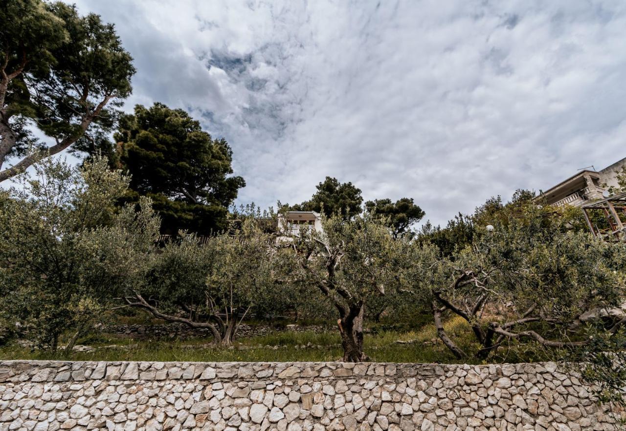 Villa Amore Brela Guest house 3*